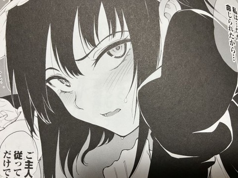 2025y1204eromangacc036