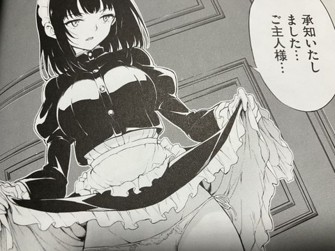 2025y1204eromangacc030