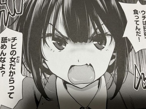 2024y1202eromangacc042