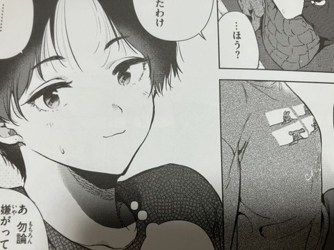 2025y1005eromangacc094