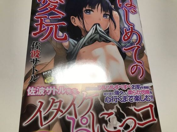 華奢で小柄な身体の純真そうな少女達が年上男性達による行為で激しく乱れ狂う等の背徳感溢れるエロス内容が堪らない！？佐波サトル氏「はじめての愛玩」感想。