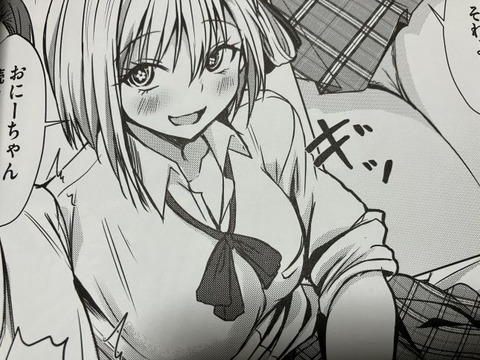 2025y1110eromangacc044