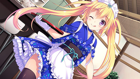 has_0044jp-003