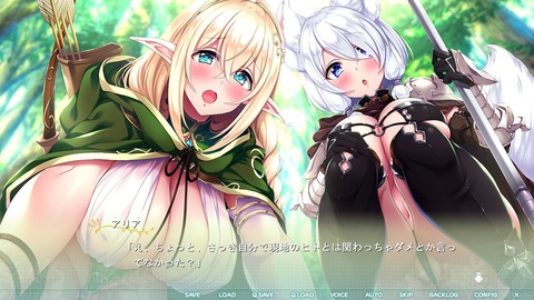 2020y1128erogeaasa1101fn020