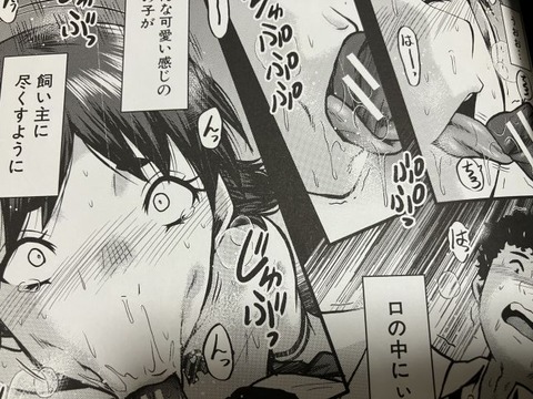 2025y1106eromangacc010