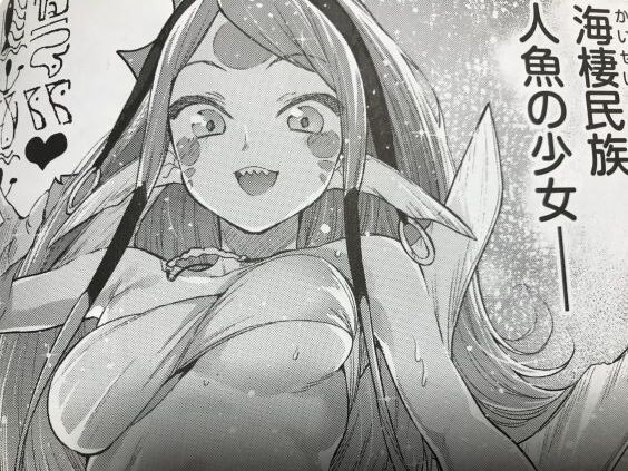 2020y0208eromangacc3034frt017