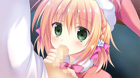 cabbage_0003jp-008