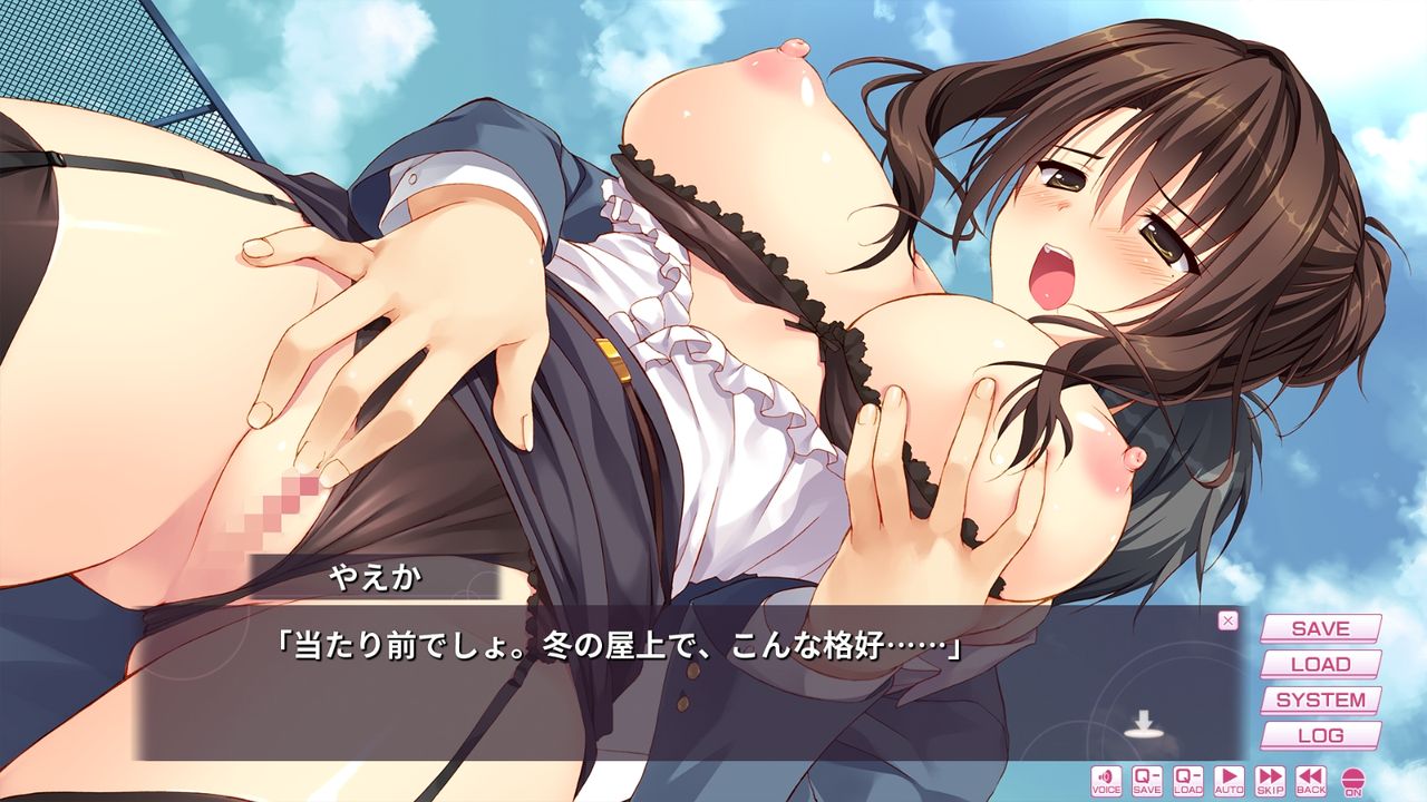 彼女のセイイキ エロ 教師をしている姉やオタク系の留学生がダブルヒロインとして登場する低価格の概念を覆したfengのシリ-ズ最新作「学校のセイイキ」レビュ-♪ : それは私の妄言だ+