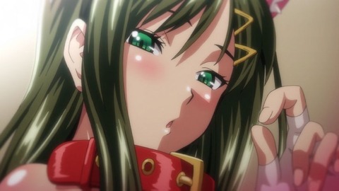 2023y0831901eroanidd9999fnks049