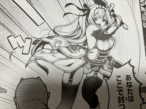 2025y0514eromangacc045