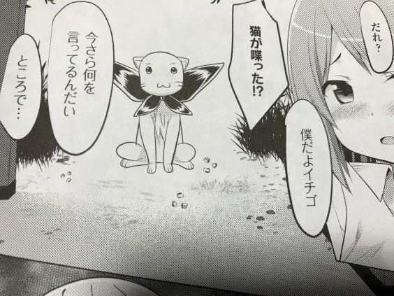 20181212eromangacc909lsfc031