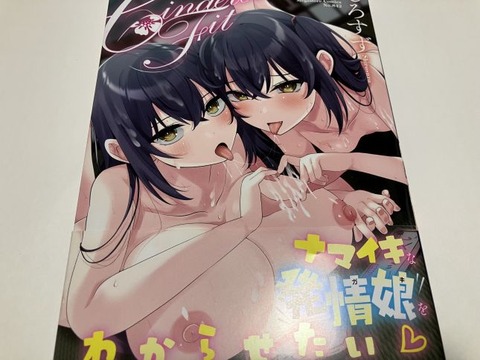 2026y0211eromangacc044