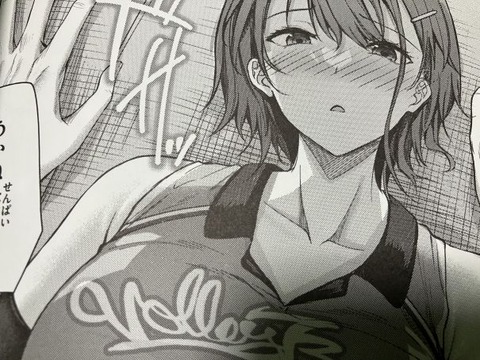 2025y0208eromangacc017