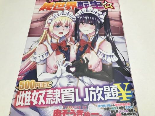 都合が良すぎる！？ファンタジー的な異世界に転生した男性がワンコインでエロエロなハーレム展開に！？肉そうきゅー。氏「コミ○帰りに異世界転生☆」感想。