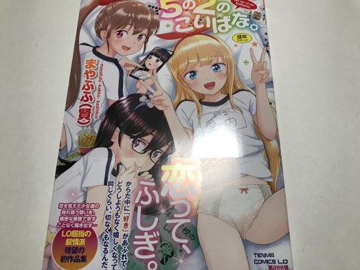 可憐な少女達が教師や義父といったオトナの男性と淫らに身体を重ねるなど背徳感と過激さが混ざり合うエロス劇満載の。まやふふ（賢）氏「5の2のこいばな。」感想。