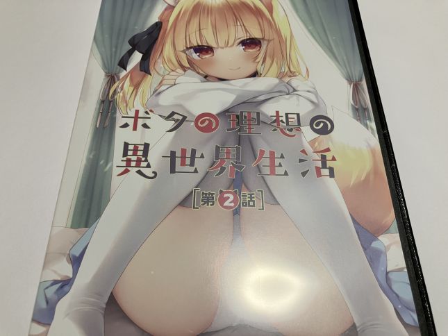 許嫁の幼馴染という妹系キャラの獣人女子とも刺激的なカンケイに！？23.4ド原作「OVAボクの理想の異世界生活」第2巻レビュー。