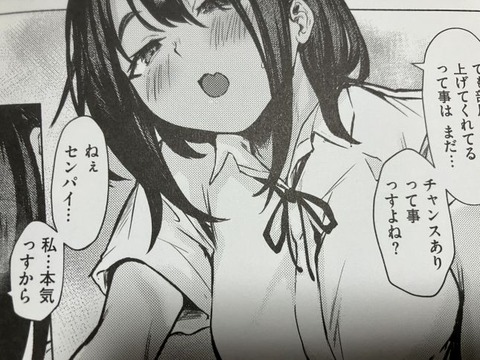 2025y1005eromangacc058