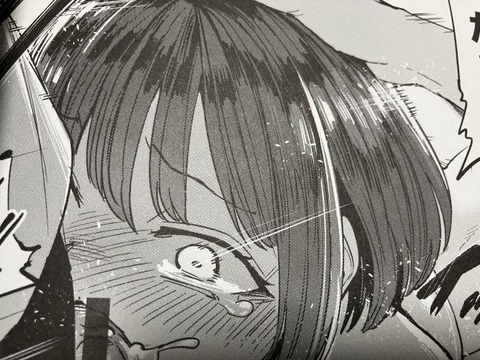 2025y0804eromangacc018