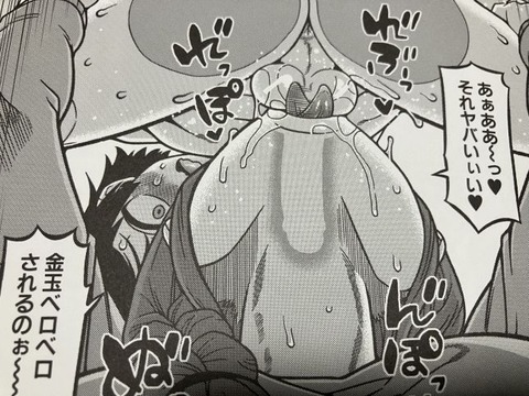 2026y0110eromangacc004