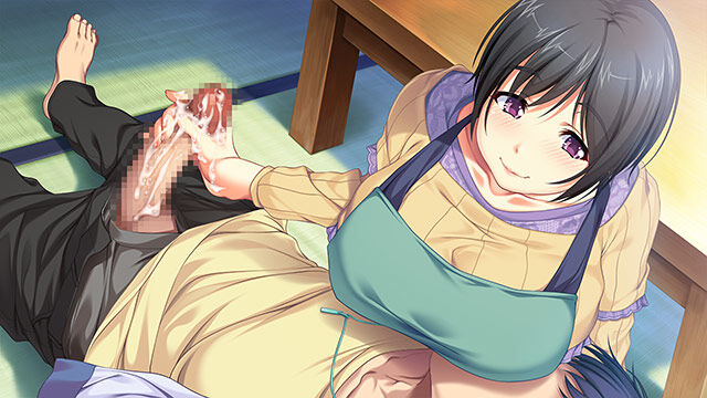 壁の向こうの妻の嬌声～を始め過激で背徳感のある実用的作品がお得な価格で楽しめる