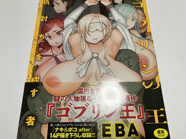 呪われた宿命を持つ主人公がゴブリンを率いて憎むべき女性達をリベンジ的に穢して行き！？EBA氏「ゴブリンの王 ～仇討ちを成す者～」感想。
