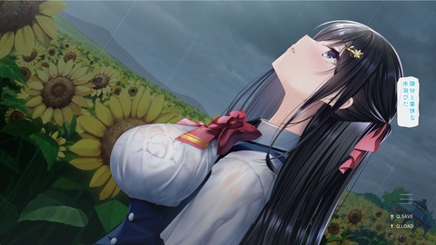 2026y0627erogedcc013