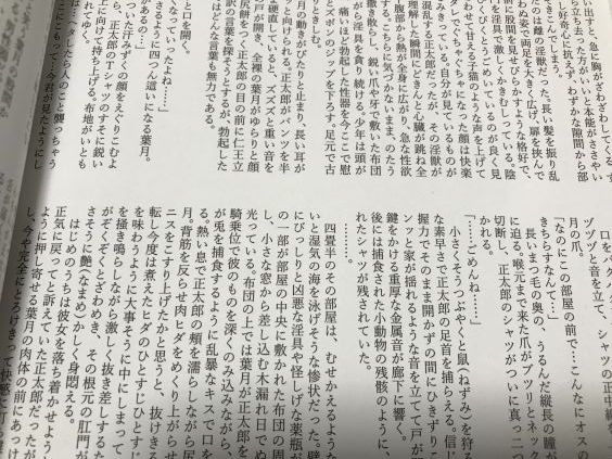 20180920eromangacca1s001a044