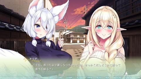 2020y1128erogeaasa1101fn001