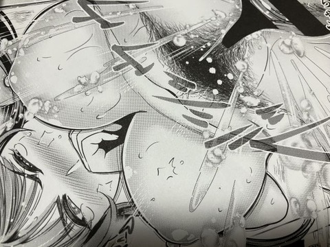 2026y0108eromangacc079