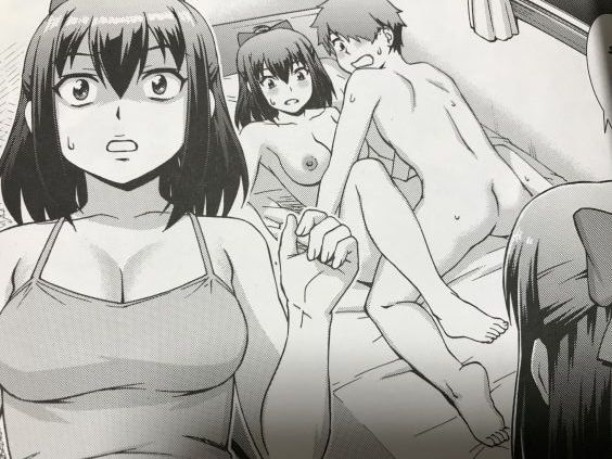 並行世界から個性的な妹達が登場しハ レム展開になる 異色の連作を収録した しのぎ鋭介氏 妹とエッチするのは お兄ちゃんの義務だよね 感想 それは私の妄言だ