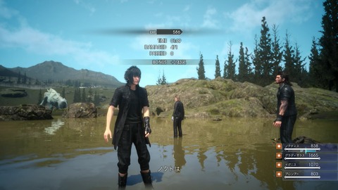 0150313fi2056
