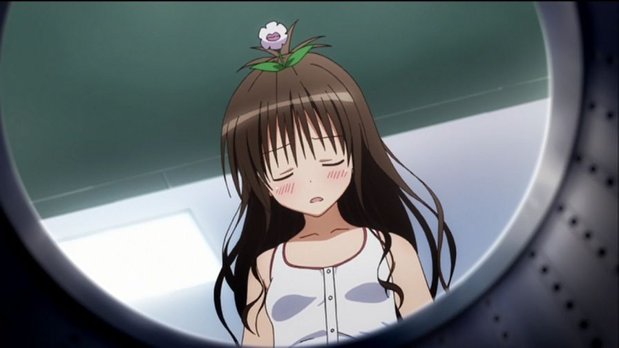 7a2cf4e8.jpg