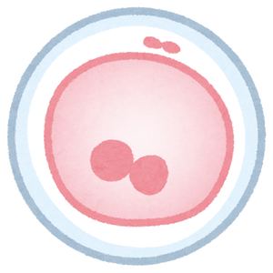 body_cell_juseiran1