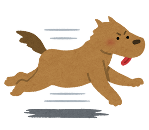 run_dog