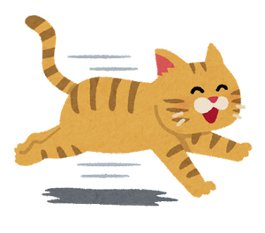 run_cat_smile