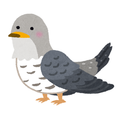 bird_kakkou