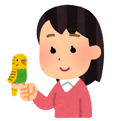 彼女 インコ飼いたい 俺 世話大変だしうるさいからイヤ 数日後家に帰ると彼女が勝手にインコ2羽も買っていたんだがｗｗｗ 婚外ちゃんねる