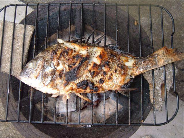 七輪で魚を焼く 私のお気に入り
