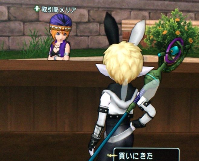 全力で魔法使いクエをやってみた こにのたソがれドラクエ日記 全力で魔法使いクエをやってみた こにのたソがれドラクエ日記