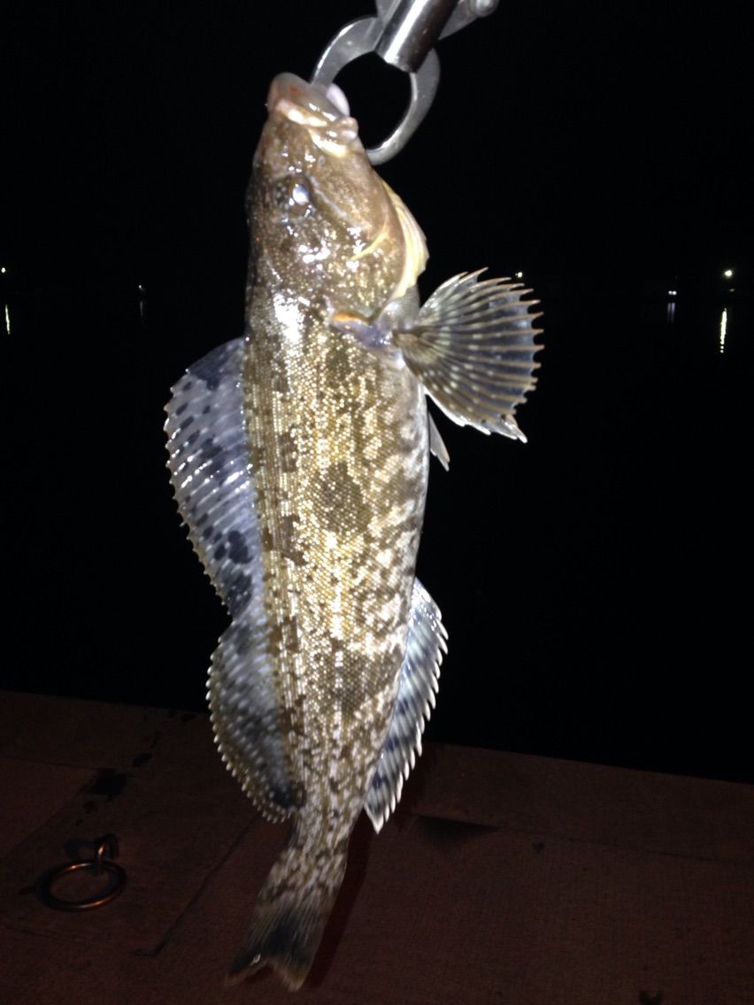 4 22仕事終わりの夜釣り F F Style