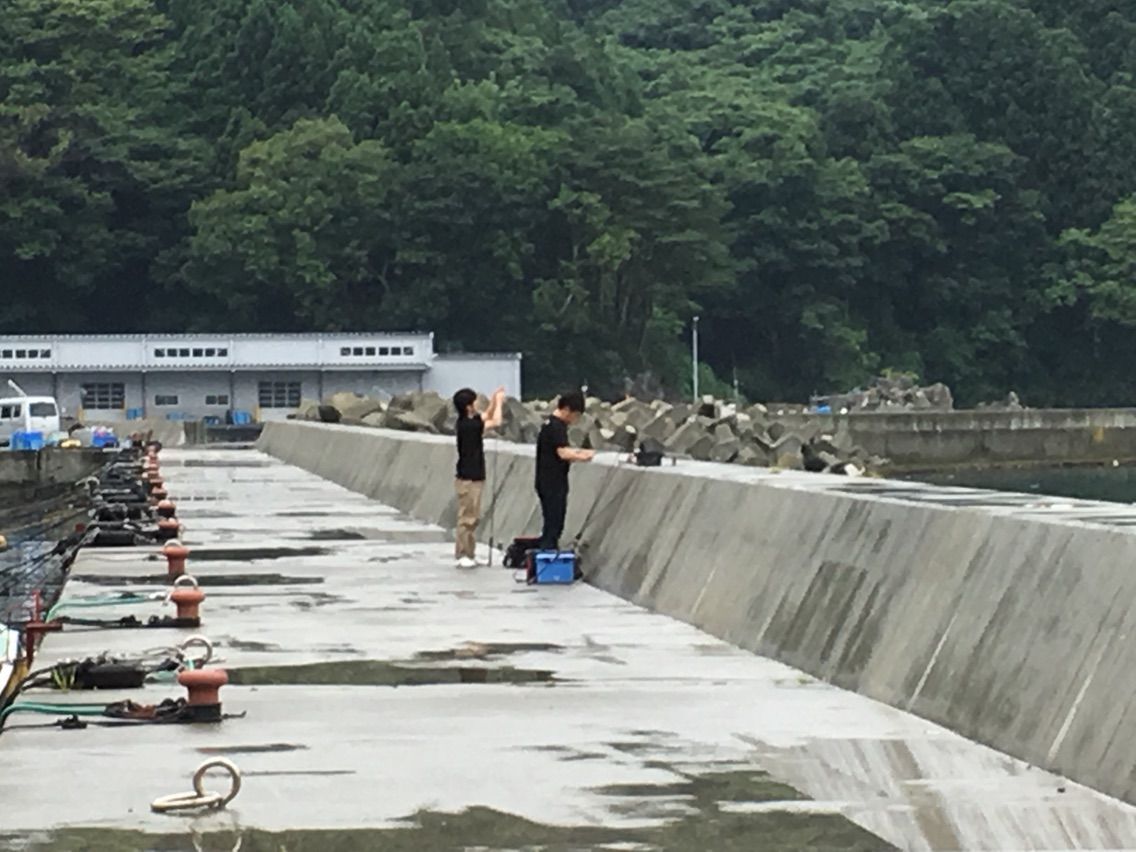 17 7 29 ライトロックin尾崎白浜漁港 F F Style 17 7 29 ライトロックin尾崎白浜漁港 F F Style