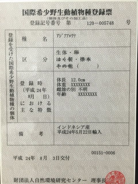 15年10月 ウルトラレッドに魅せられて