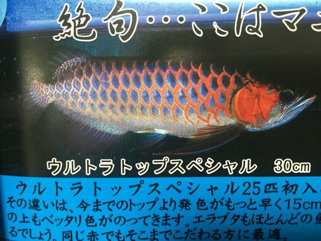ペテ ムンジュールファームの真実！ : ウルトラレッドに魅せられて