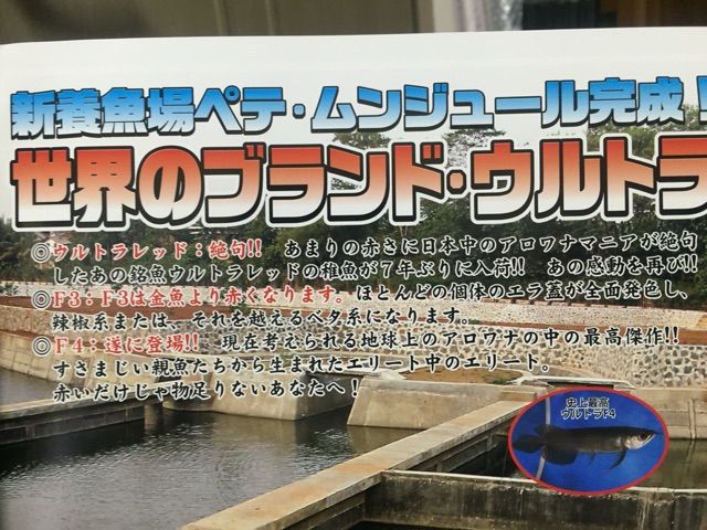 ペテ ムンジュールファームの真実！ : ウルトラレッドに魅せられて