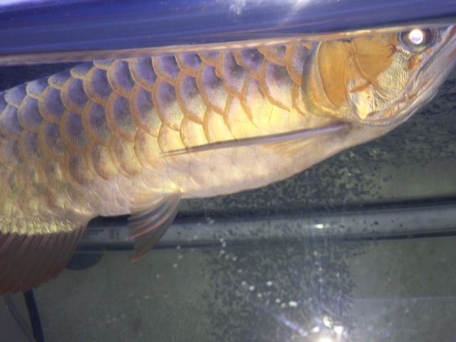 15年10月 ウルトラレッドに魅せられて