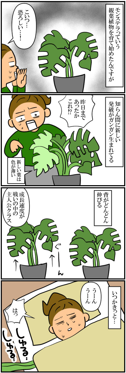 blog1562a