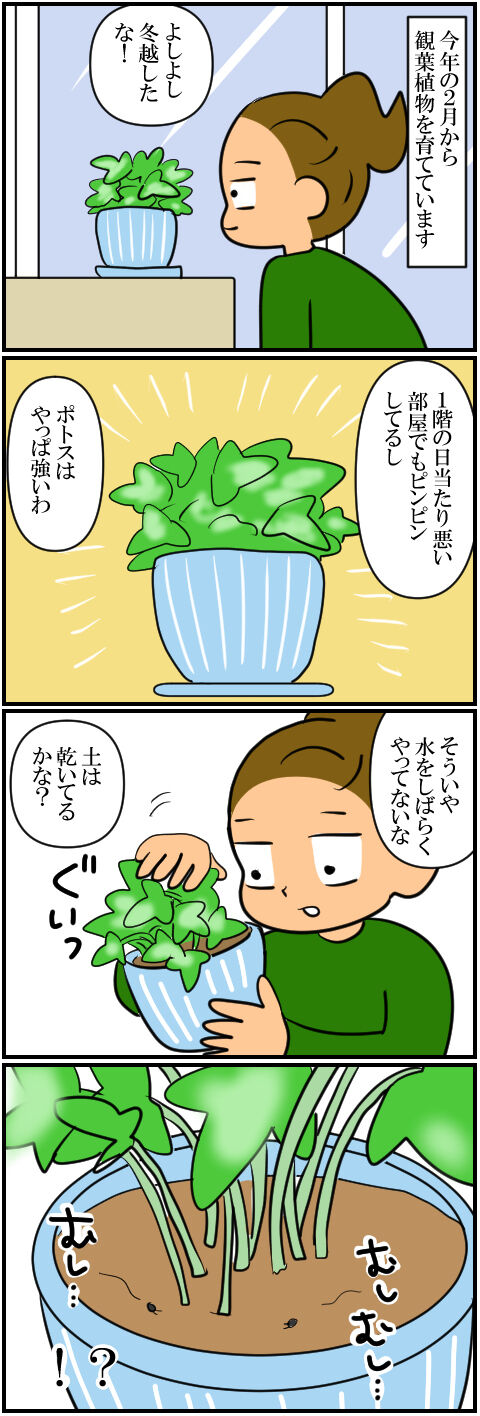 blog1461a