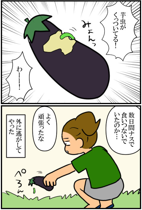 blog1643a