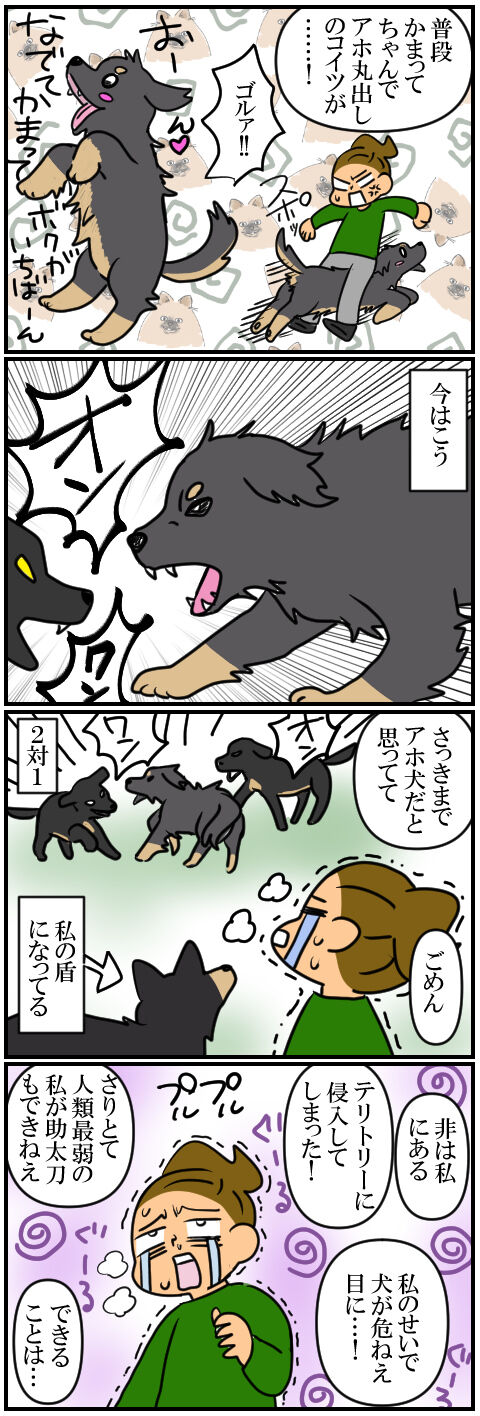 blog407a