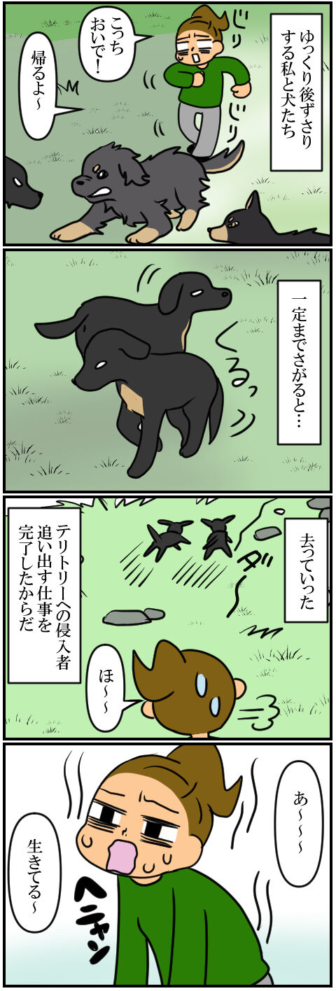 blog409a